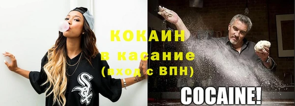 твердый Михайлов