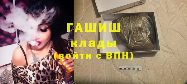 твердый Михайлов