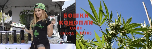 твердый Михайлов